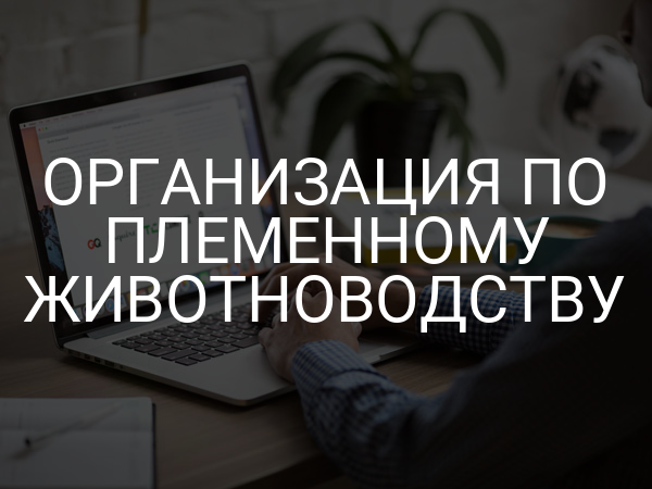 Организация по племенному животноводству