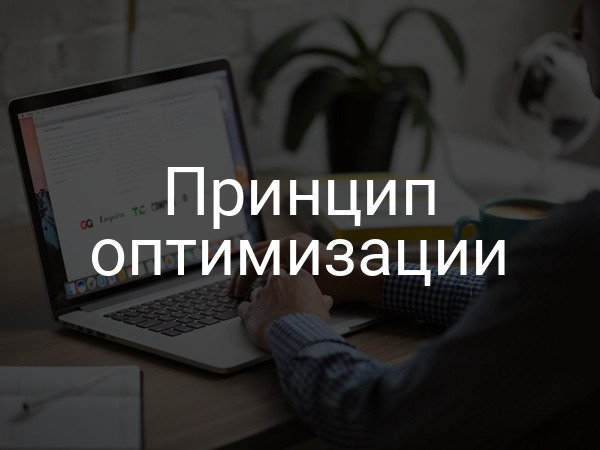 Принцип оптимизации