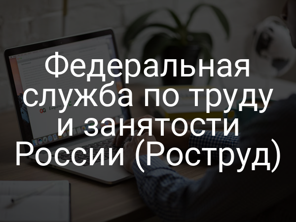 Федеральная служба по труду и занятости России (Роструд)