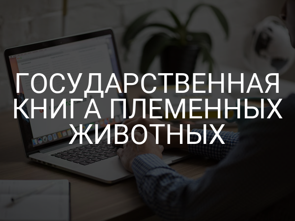 Государственная книга племенных животных