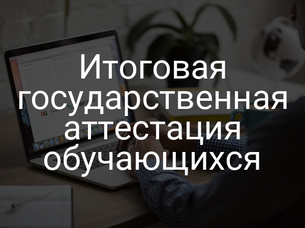 Итоговая государственная аттестация обучающихся