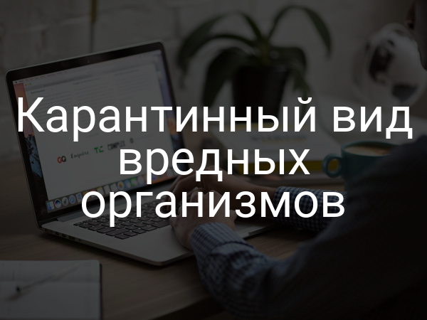 Карантинный вид вредных организмов