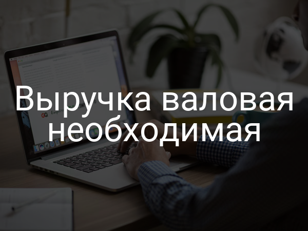 Выручка валовая необходимая