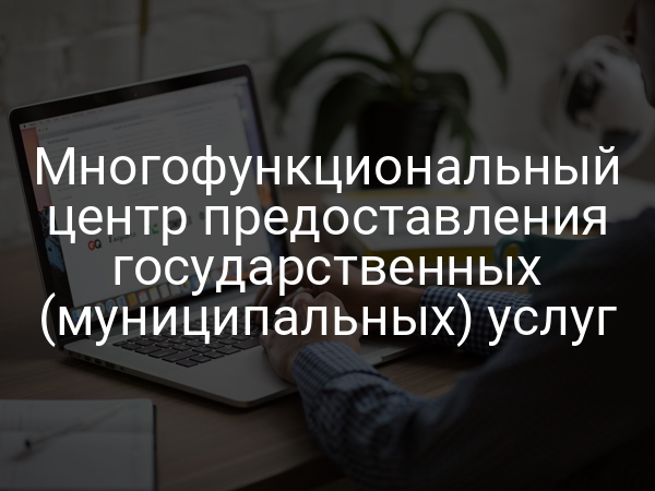 Многофункциональный центр предоставления государственных (муниципальных) услуг