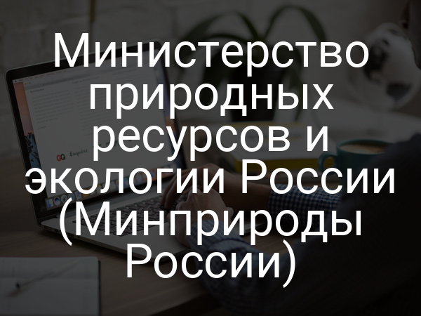Министерство природных ресурсов и экологии России (Минприроды России)