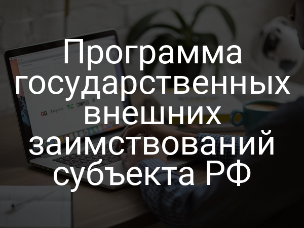 Программа государственных внешних заимствований субъекта РФ