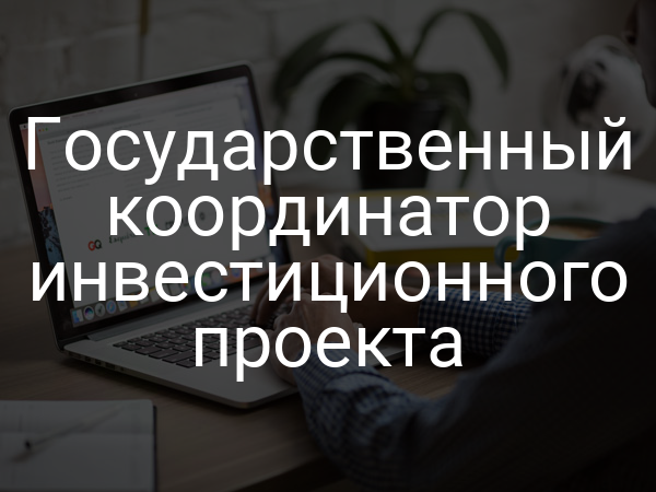 Государственный координатор инвестиционного проекта