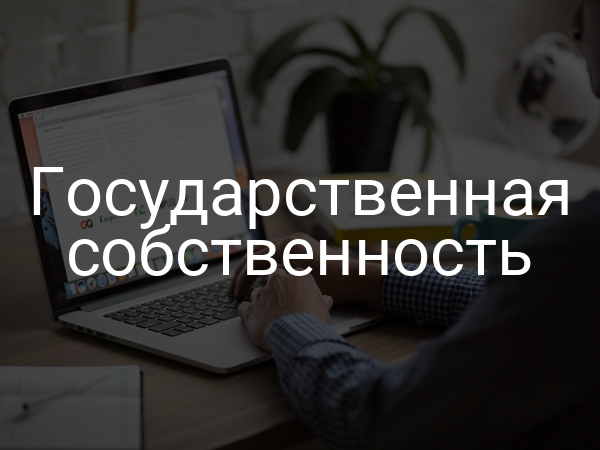 Государственная собственность