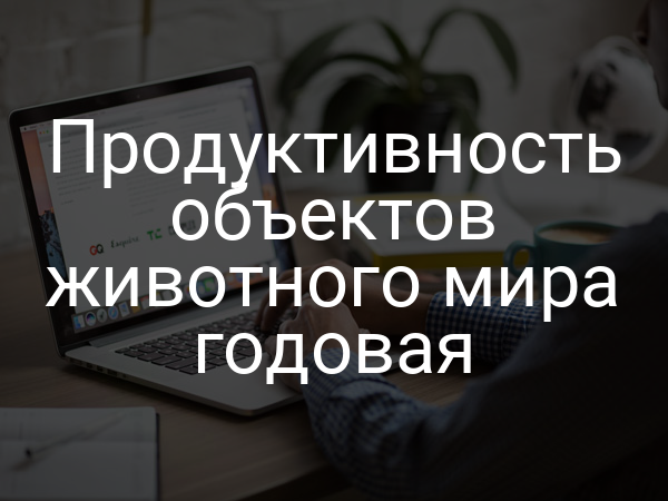 Продуктивность объектов животного мира годовая