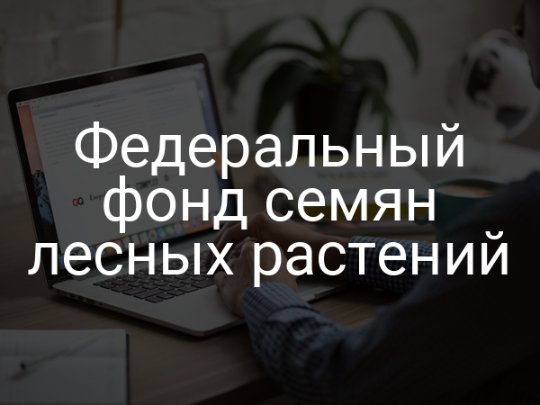 Федеральный фонд семян лесных растений