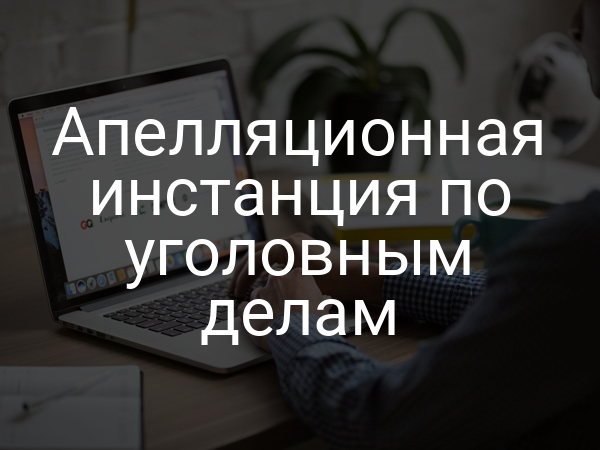 Апелляционная инстанция по уголовным делам