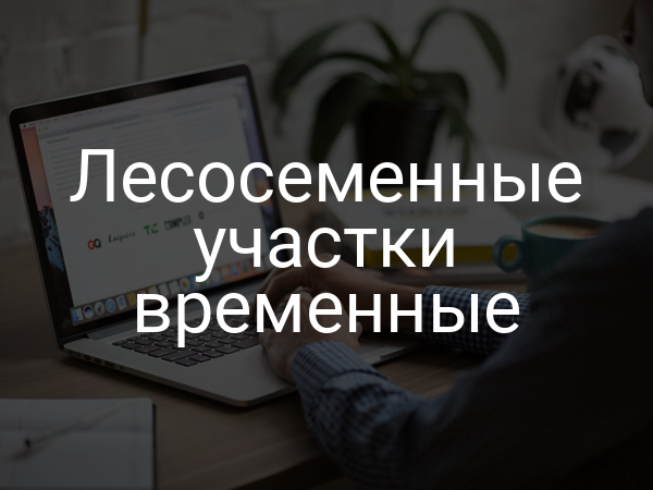 Лесосеменные участки временные