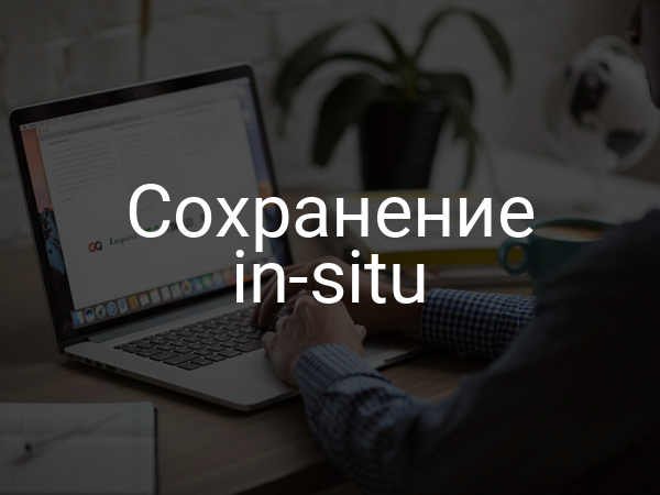 Сохранение in-situ