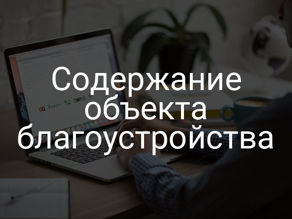 Содержание объекта благоустройства
