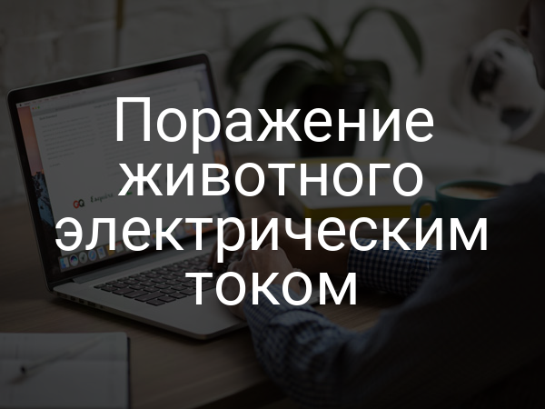 Поражение животного электрическим током