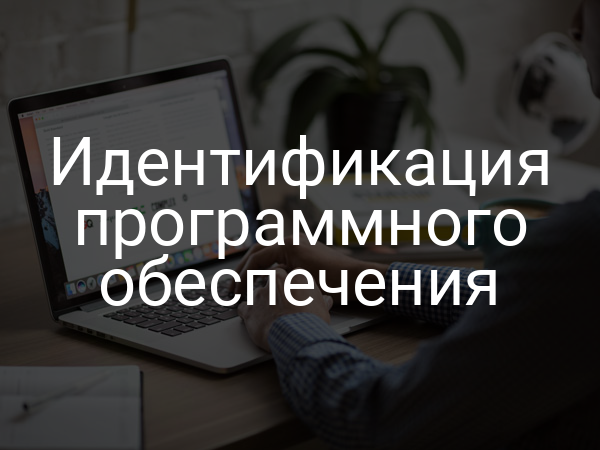 Идентификация программного обеспечения