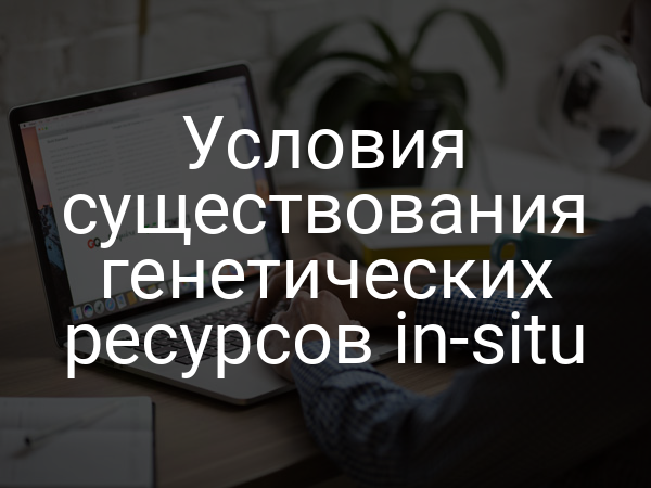 Условия существования генетических ресурсов in-situ