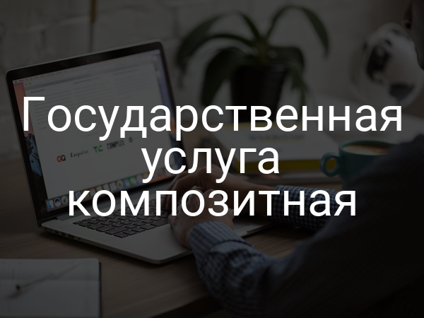 Государственная услуга композитная