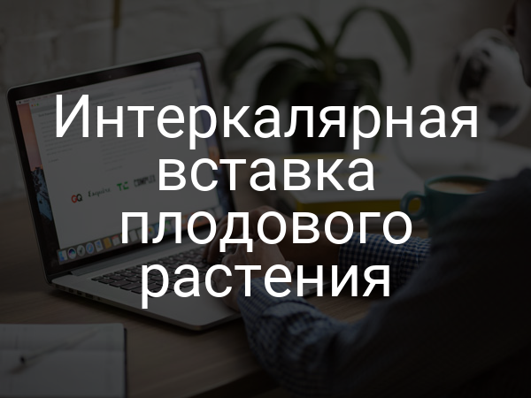 Интеркалярная вставка плодового растения