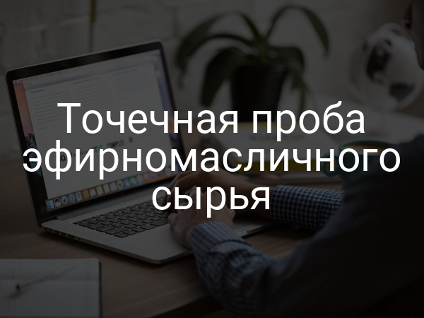 Точечная проба эфирномасличного сырья