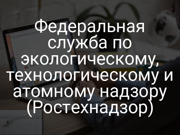 Федеральная служба по экологическому, технологическому и атомному надзору (Ростехнадзор)
