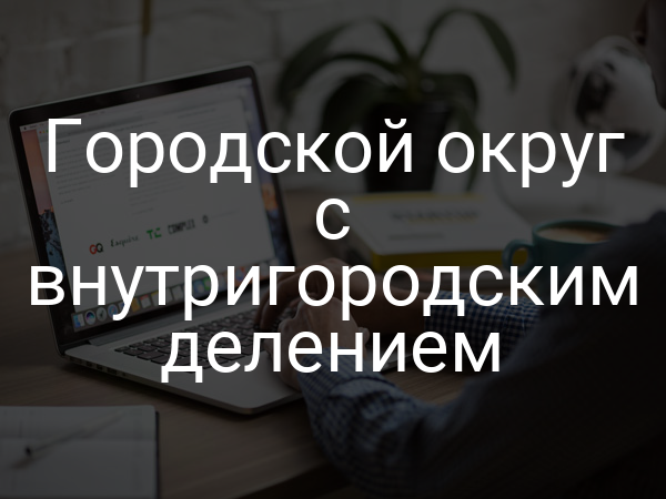 Городской округ с внутригородским делением