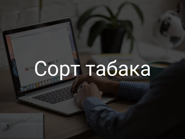 Сорт табака