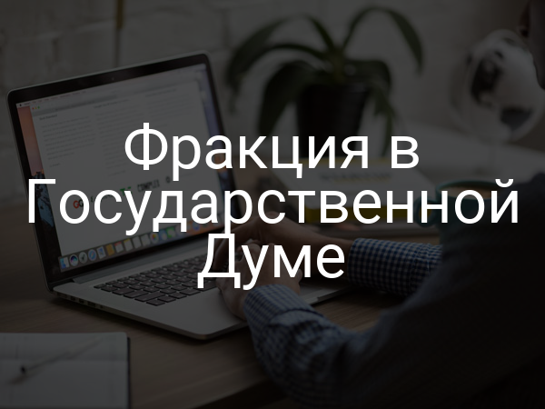 Фракция в Государственной Думе