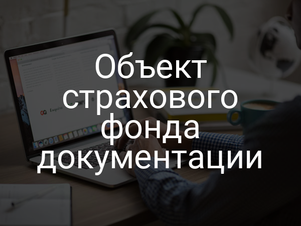 Объект страхового фонда документации