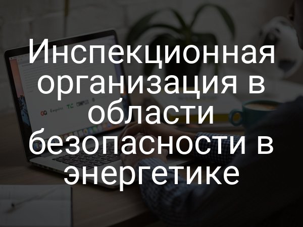 Инспекционная организация в области безопасности в энергетике