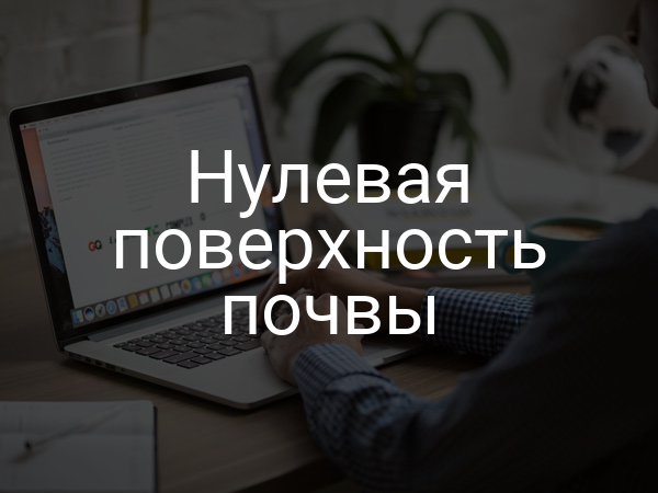 Нулевая поверхность почвы