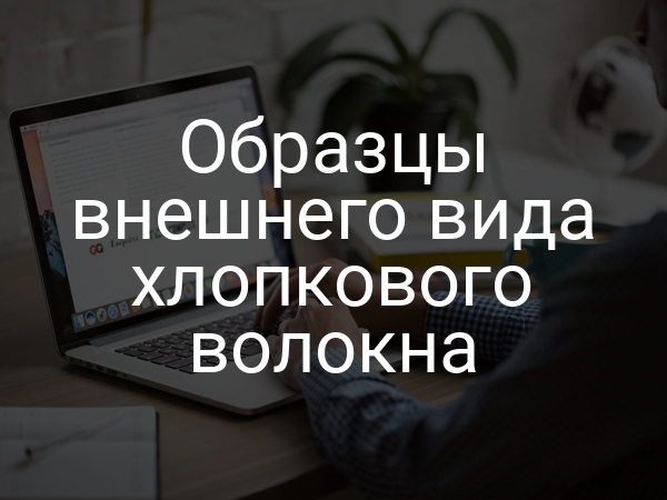 Образцы внешнего вида хлопкового волокна