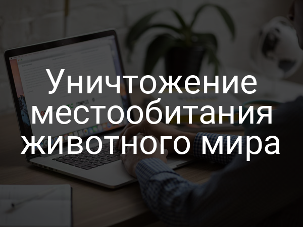 Уничтожение местообитания животного мира