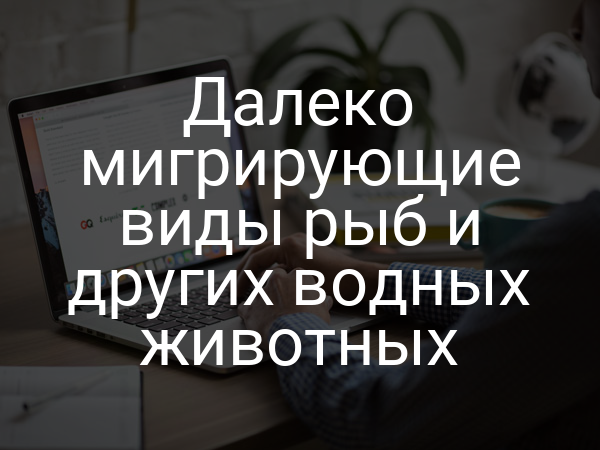 Далеко мигрирующие виды рыб и других водных животных