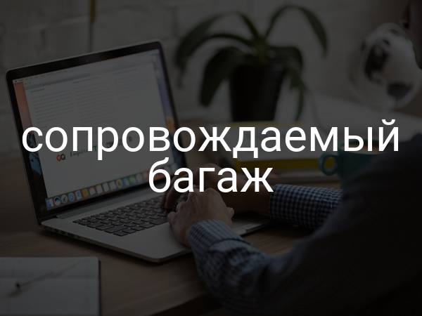 Сопровождаемый багаж
