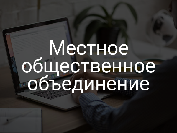 Местное общественное объединение