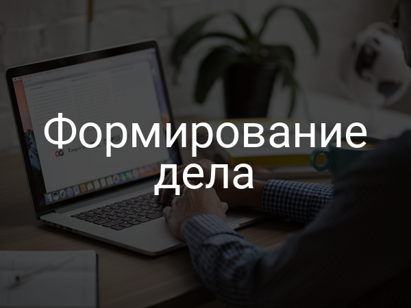 Формирование дела