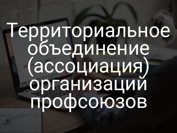 Территориальное объединение (ассоциация) организаций профсоюзов