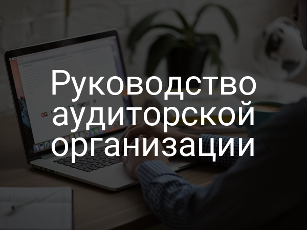 Руководство аудиторской организации