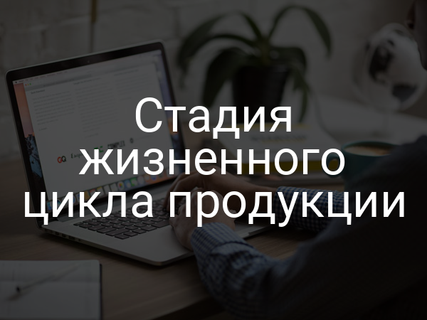 Стадия жизненного цикла продукции
