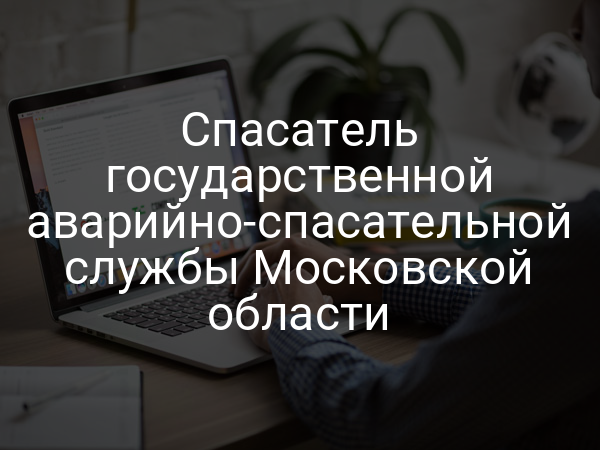 Спасатель государственной аварийно-спасательной службы Московской области