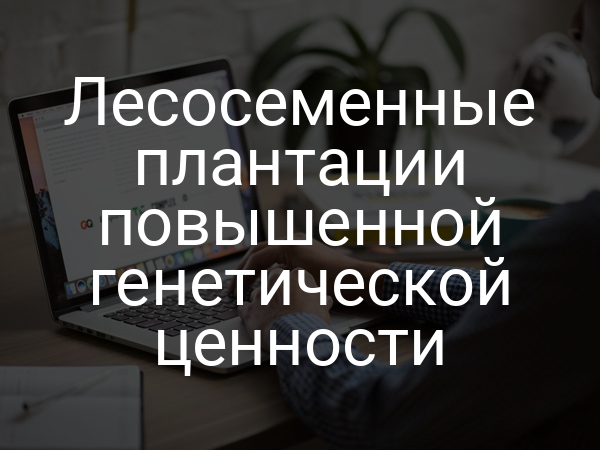 Лесосеменные плантации повышенной генетической ценности
