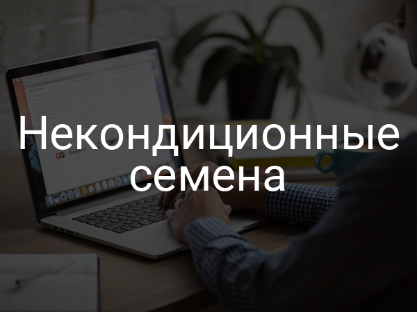 Некондиционные семена