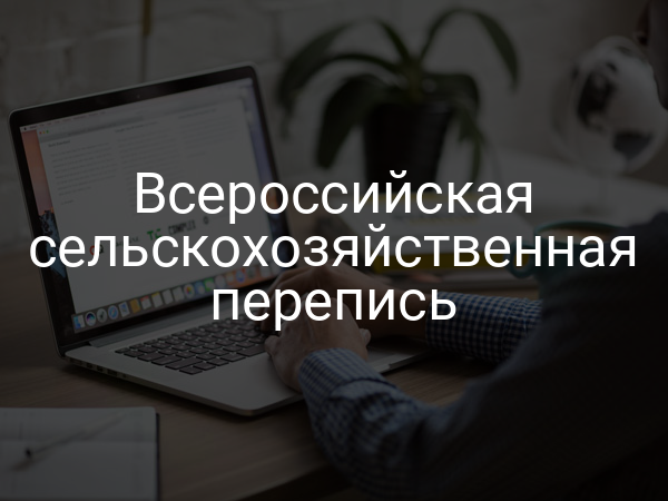 Всероссийская сельскохозяйственная перепись