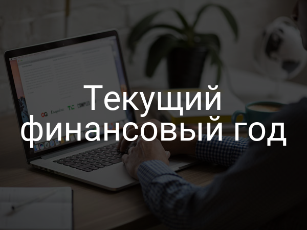 Текущий финансовый год
