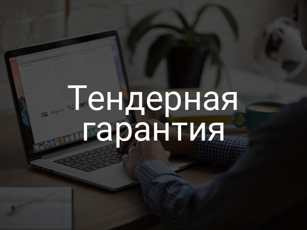 Тендерная гарантия