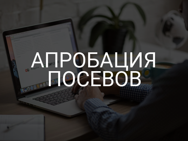Апробация посевов