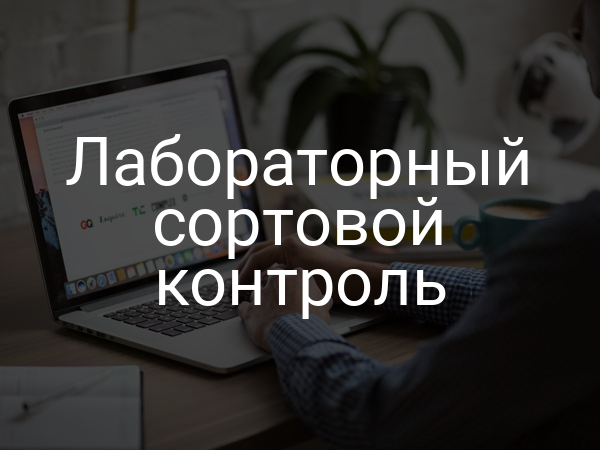 Лабораторный сортовой контроль