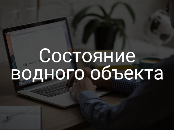 Состояние водного объекта