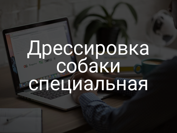 Дрессировка собаки специальная